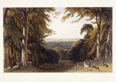 Windsor Kasteel vanuit het Hertenkamp, c.1827-1829 door William Daniell