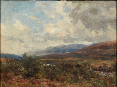 Wolken boven heide door William Darling McKay