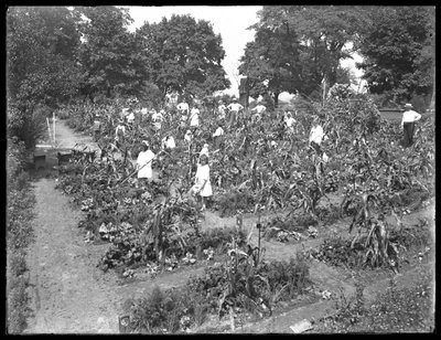 Kinderen die werken in de schooltuin van Isham Park, New York City, 16 augustus 1915 door William Davis Hassler