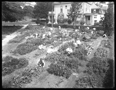 Hooghoekopname van kinderen die werken in de tuin bij de Poppenhusen-vestiging van de Queens Borough Public Library, 14 augustus 1915 door William Davis Hassler