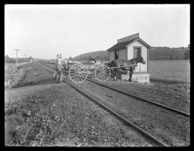 Onbekende man laadt melk op een paard-en-wagen geparkeerd over spoorrails buiten de McCready-boerderij, Pennsylvania, c.1913 door William Davis Hassler