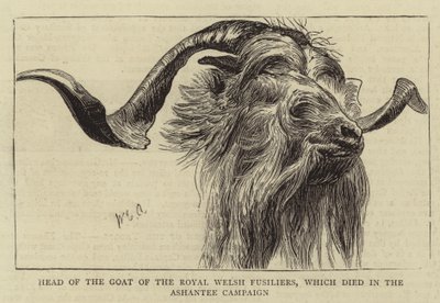 Hoofd van de Geit van de Royal Welsh Fusiliers, die stierf in de Ashantee Campagne door William Edward Atkins