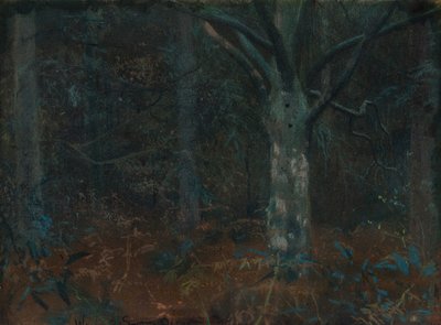 Oude Sycamore door William Edward Stott