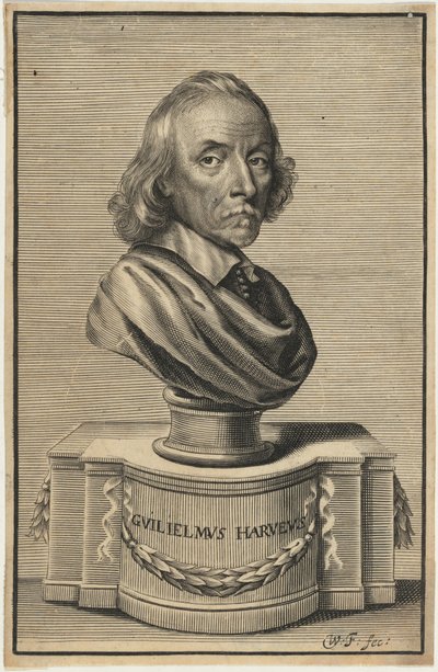 William Harvey, M.D. door William Faithorne