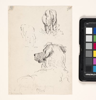 Hond (Recto), Hond En Koe (Verso) door William Forsyth