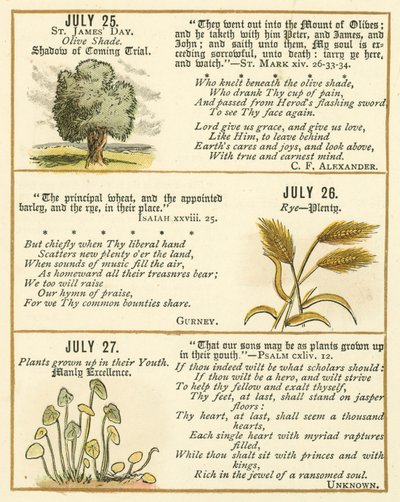 Pagina uit The Bible Emblem Anniversary Book door William Foster