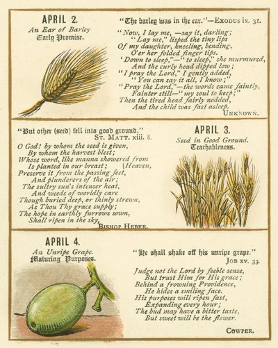 Pagina uit The Bible Emblem Anniversary Book door William Foster