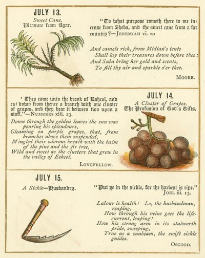 Pagina uit The Bible Emblem Anniversary Book door William Foster