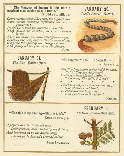 Pagina uit The Bible Emblem Anniversary Book door William Foster