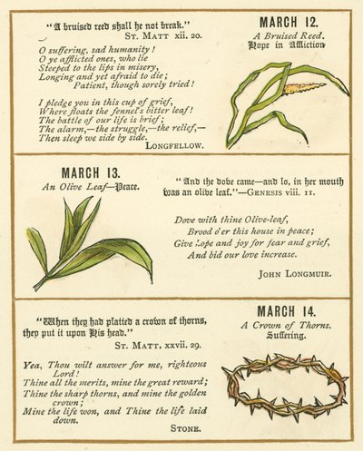 Pagina uit The Bible Emblem Anniversary Book door William Foster