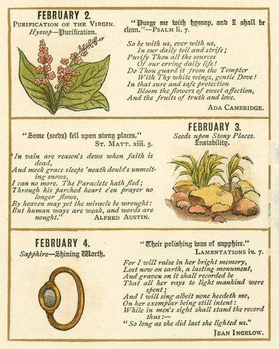 Pagina uit The Bible Emblem Anniversary Book door William Foster