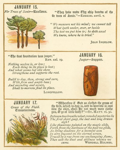 Pagina uit The Bible Emblem Anniversary Book door William Foster