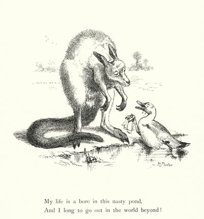 De Eend En De Kangoeroe (gravure) door William Foster