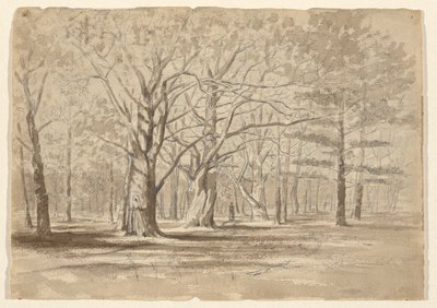 College Woods door William Fowler Hopson