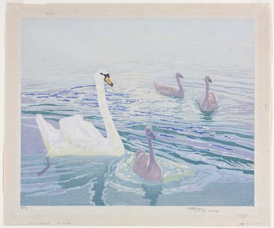Zwanen en Zwanenkuikens door William Giles