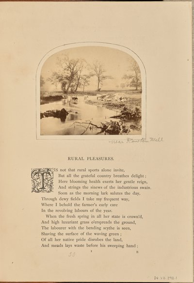 [Pastorale scène met vee in een overstroomd veld, Engeland]. door William Grundy