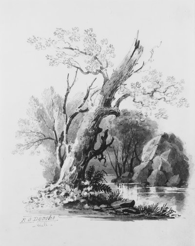 Bosgrove door William Guy Wall