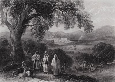 Vallei van Nazareth door William H. Bartlett