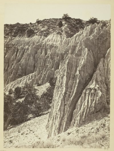 Regenbeeld, Salt Creek Canyon, Utah door William H. Bell