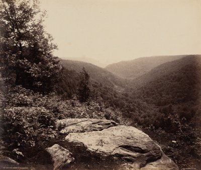 Uitzicht op de Klif, Top van de Alleghenies door William H. Rau