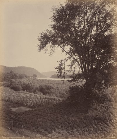 Pittoreske Susquehanna, nabij Laceyville door William H. Rau