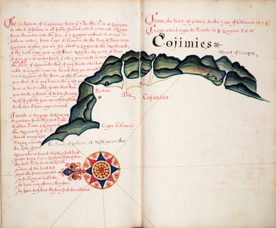 Cojimies door William Hack