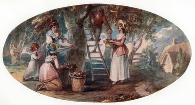 Vruchten plukken door William Hamilton