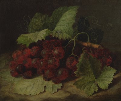 Stilleven van Druiven door William Hammer