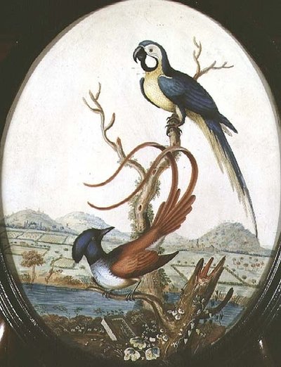 Lierenvogel en Vlaamse Gaai door William Hayes