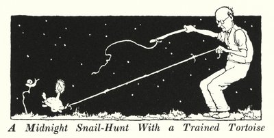 Een Middernachtelijke Slakkenjacht Met een Getrainde Schildpad door William Heath Robinson