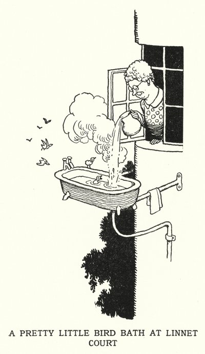 Een mooi klein vogelbad bij Linnet Court door William Heath Robinson