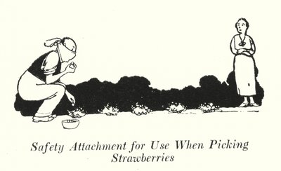 Veiligheidsbevestiging voor Gebruik bij het Plukken van Aardbeien door William Heath Robinson