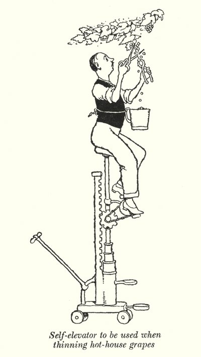 Zelfheffer voor het uitdunnen van kasdruiven door William Heath Robinson