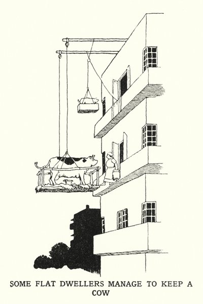 Sommige Flatbewoners Slagen erin een Koe te Houden door William Heath Robinson