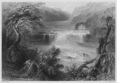Zalmensprong bij Leixlip (gravure) door William Henry (after) Bartlett
