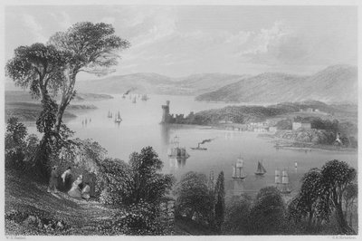De Cork Rivier, vanaf onder de Glanmire Road (gravure) door William Henry (after) Bartlett