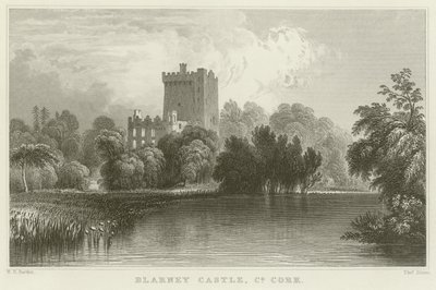Blarney Castle in County Cork door William Henry Bartlett