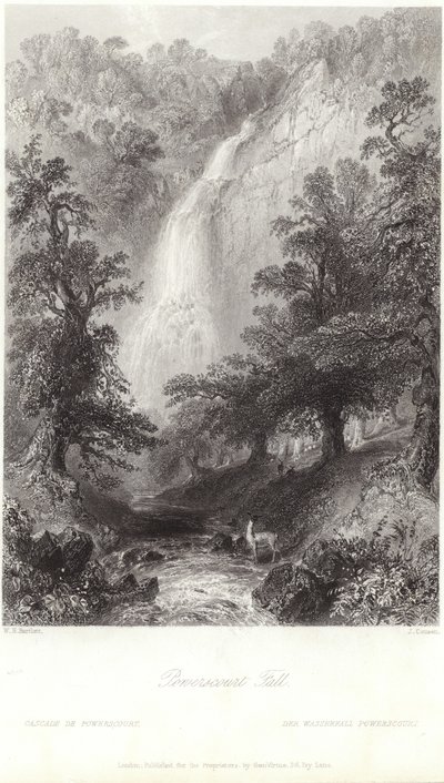 Powerscourt Fall aan de rivier de Dargle door William Henry Bartlett