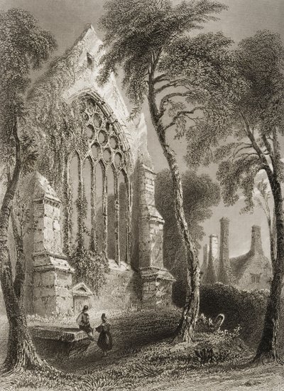Youghal Abbey, County Cork, Ierland, uit 