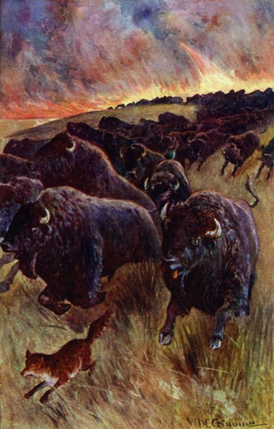 "Ik zag een kudde buffels die op de vlucht waren voor de vlammen" door William Henry Charles Groome