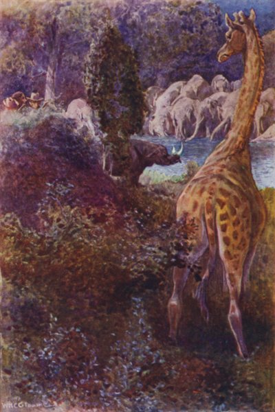 Illustratie voor The Gorilla Hunters door R M Ballantyne door William Henry Charles Groome