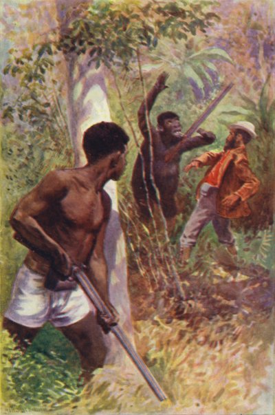 Illustratie voor The Gorilla Hunters door R M Ballantyne door William Henry Charles Groome