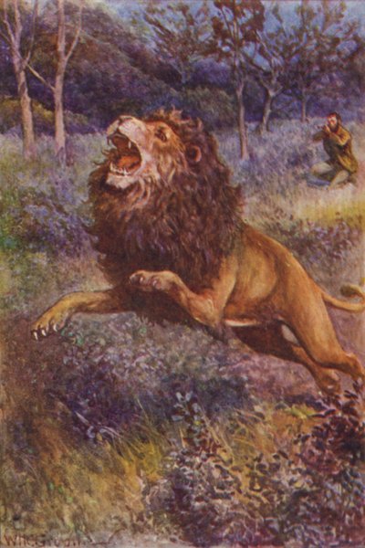 Illustratie voor The Gorilla Hunters door R M Ballantyne (kleur litho) door William Henry Charles Groome
