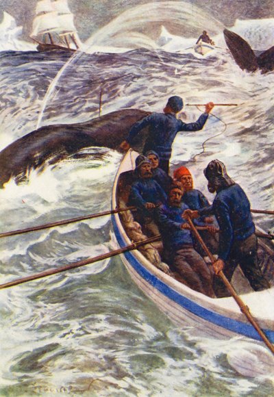 Illustratie voor De Wereld van IJs of de Walvisvaart van De Dolfijn door William Henry Charles Groome