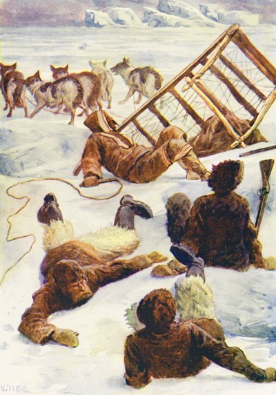 Illustratie voor De Wereld van IJs of de Walvisvaart van De Dolfijn door William Henry Charles Groome