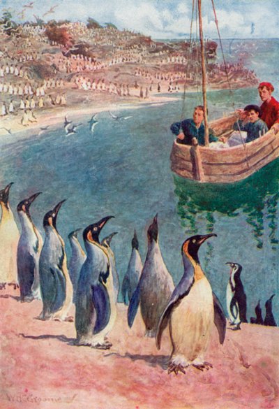 We keken met verbazing en plezier naar de vogels, zij keken met interesse terug door William Henry Charles Groome
