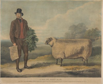 Een South Down Ram; 3 jaar oud, gefokt door de heer Thomas Crisp, Gedgrave Hall, Suffolk, waarvoor een prijs van 30 Severeigns werd toegekend op de jaarlijkse bijeenkomst van de R.A.S. in Cambridge, 15 juli 1840 door William Henry Davis