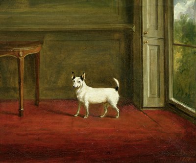Portret van een Jack Russell Terriër (in Regency Interieur) 1814 door William Henry Davis