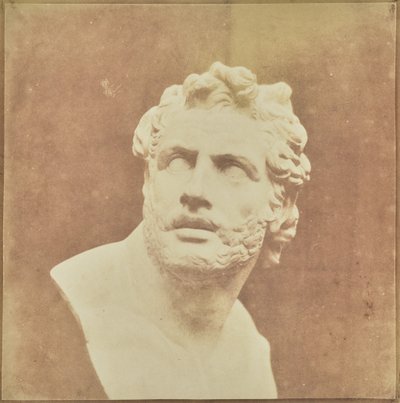Buste van Patroclus door William Henry Fox Talbot