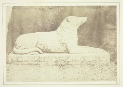 Effigie van Sir W. Scott